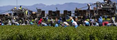 Farm worker safety is focus of new support