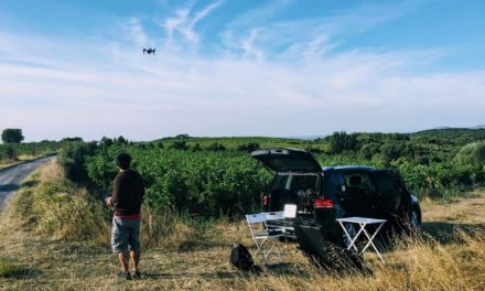 ‘Google Earth for vineyards’ helps keep grapevines healthy