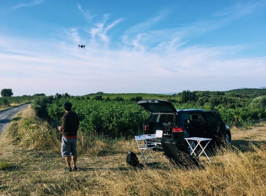 ‘Google Earth for vineyards’ helps keep grapevines healthy